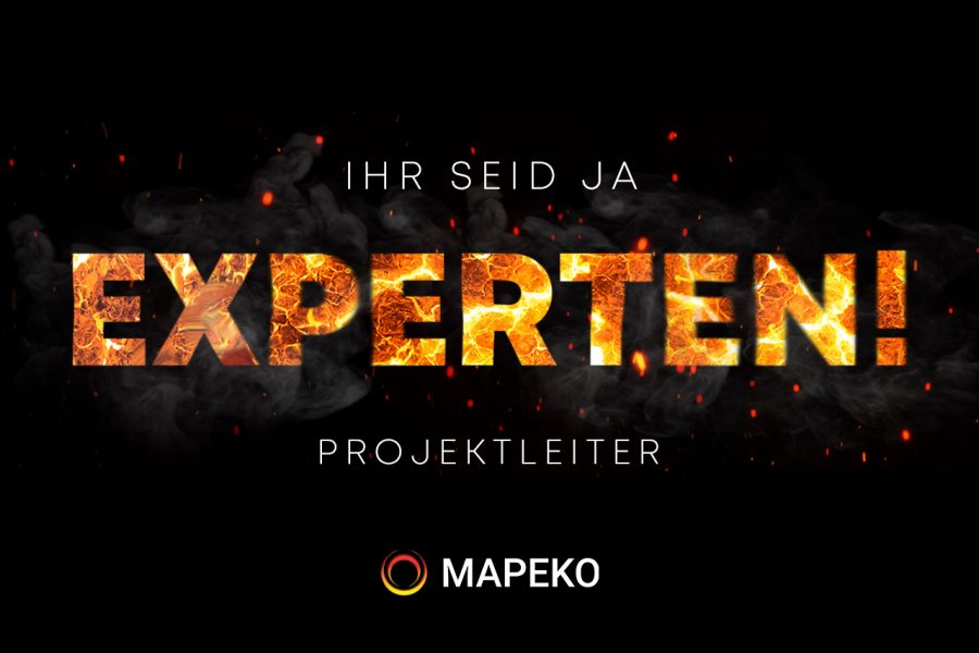 Experten_Projektleiter